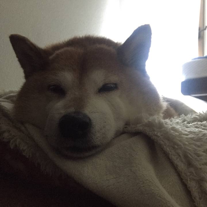 Bf45fa0b e1ad 420e 9f4d 0f44787ad238 1526777523795