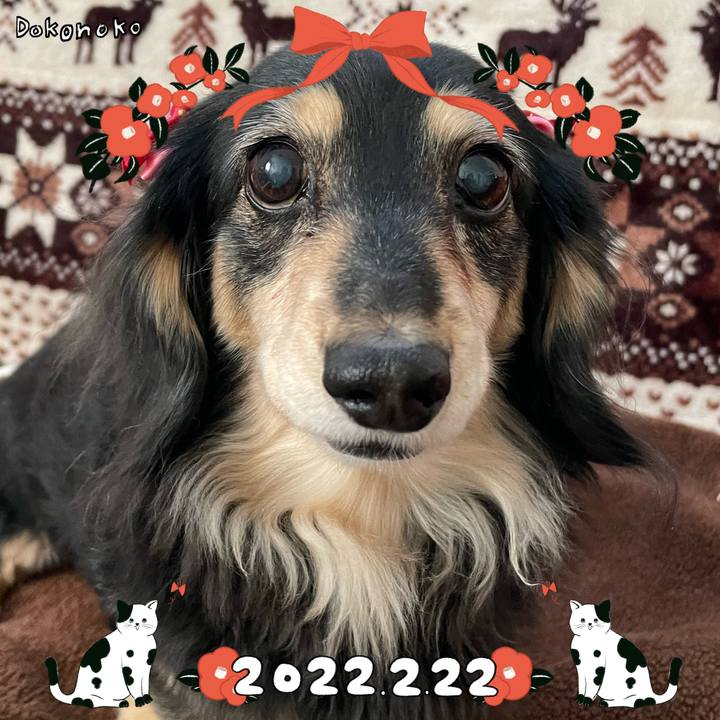 Bf461696 a354 4294 94a5 b694be9e1be2 1645495887579