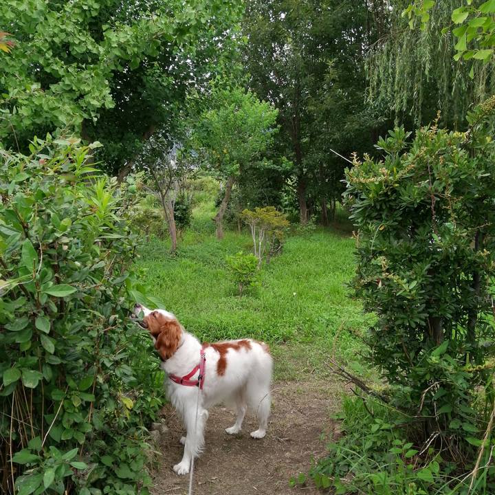 Bf4622f0 2a24 442f 811a fb1c7c3956a0 1595492754297