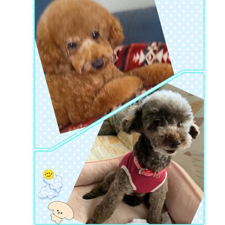 Bf463036 2913 4e24 9805 a5d807e78b03 1629875615255