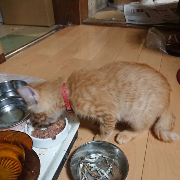 Bf466f15 7726 442f a932 112f9161d520 1632043191639