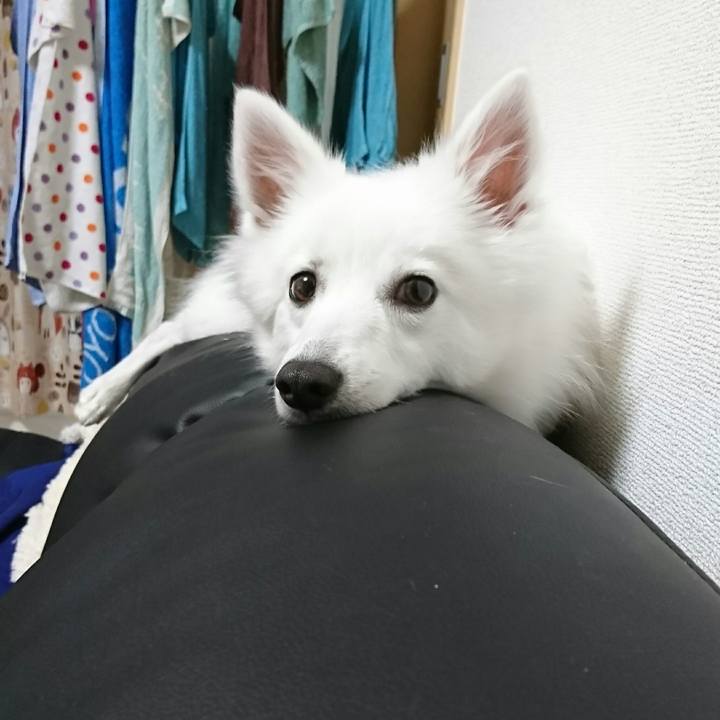 Bf46e48e 9bc0 4daa b2d9 d56e384686c6 1509003261215