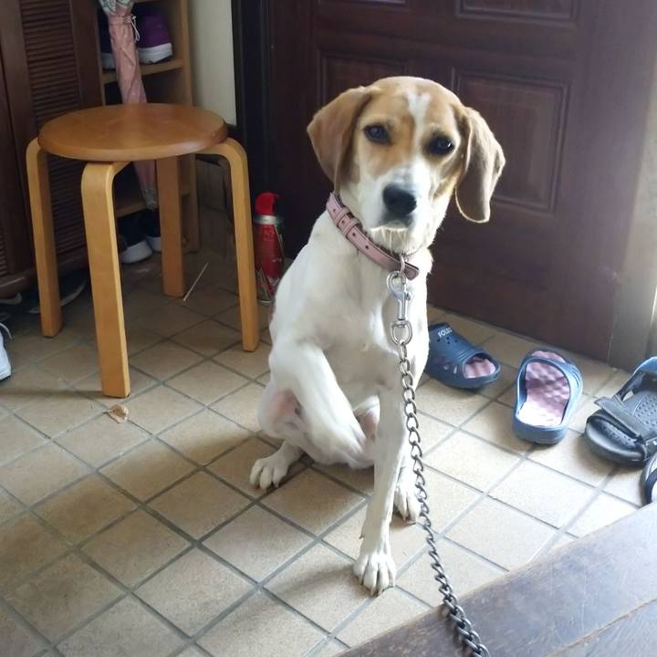 Bf46e5ac 3036 498f 9440 32a5f5426d20 1597020401893