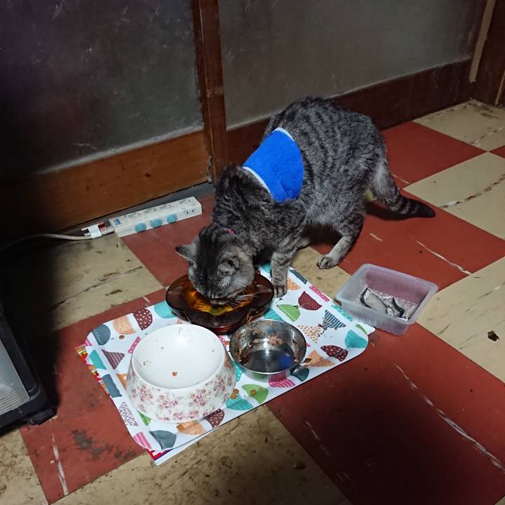 Bf46fac3 15a5 4723 99ac 4423031fd941 1586981990267