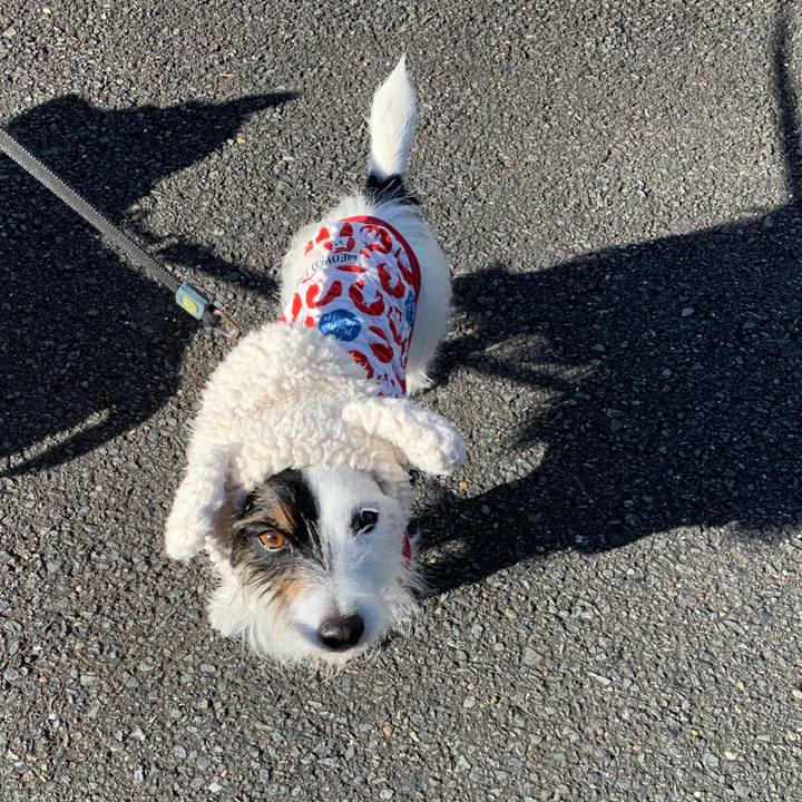 Bf471678 ad00 482a b804 4d9782e26520 1639962911204