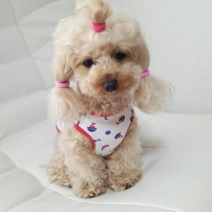 Bf47187f 4c97 4283 a92d 4986b3d536c2 1529149985931