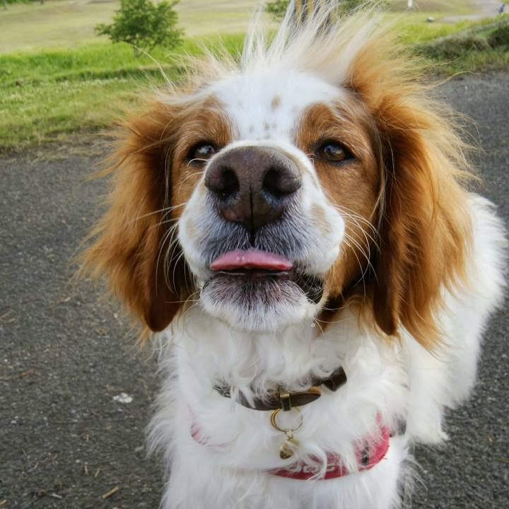 Bf472884 a3f6 445c 942b c43fc7fb556c 1559647414405