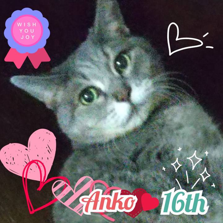 Bf4753fc 710d 4eb6 9dd8 31e7d544c32a 1633816211928