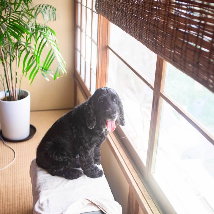 Bf4767af 5f51 42a5 ab93 2b7e841fbefe 1598084479289