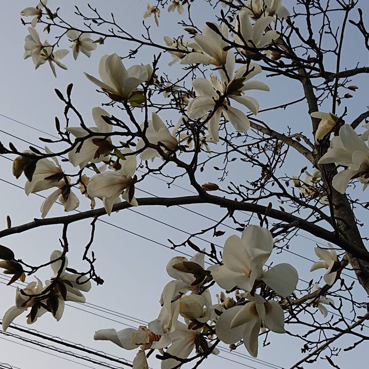 Bf47758b 1f38 4937 8584 ee001d08db18 1552987076823