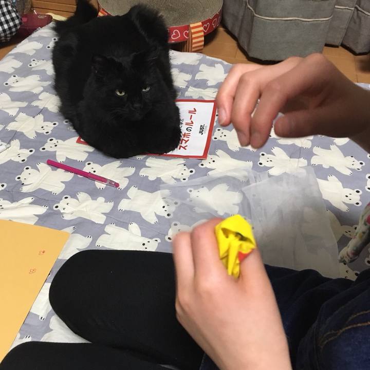 Bf477919 fb6a 4845 a681 d858509f4e6d 1524331915528