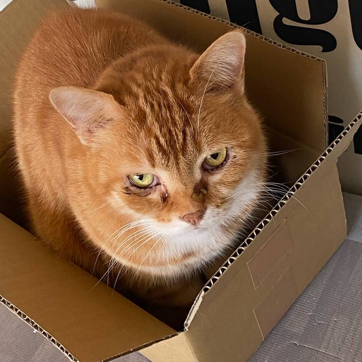 Bf47bf8b 5d05 4504 a866 59d4dc341de4 1616806405560