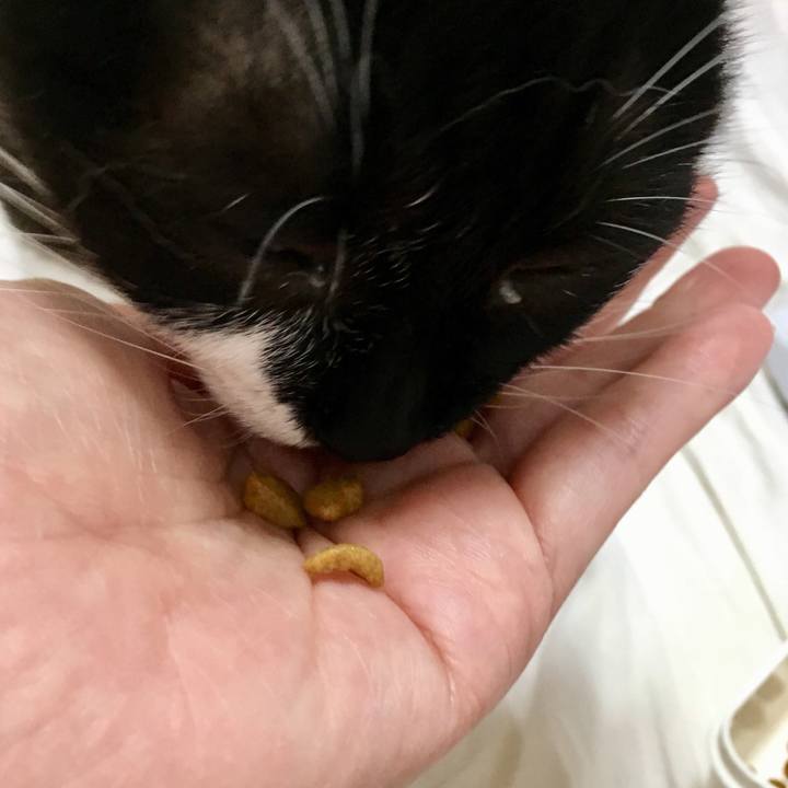 Bf47d781 fe42 4200 9d56 c55880f3ec36 1567563285072