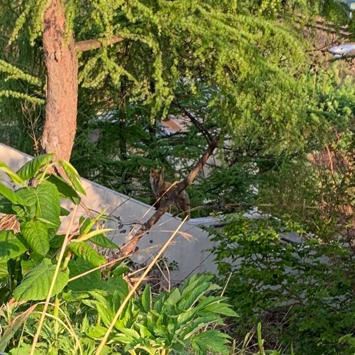 Bf47dbf0 b88b 4924 9103 f442638fa106 1558041631878