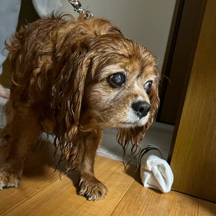 Bf47f40c e0e8 4e5d 9c3d f816e913c4ab 1747438098442