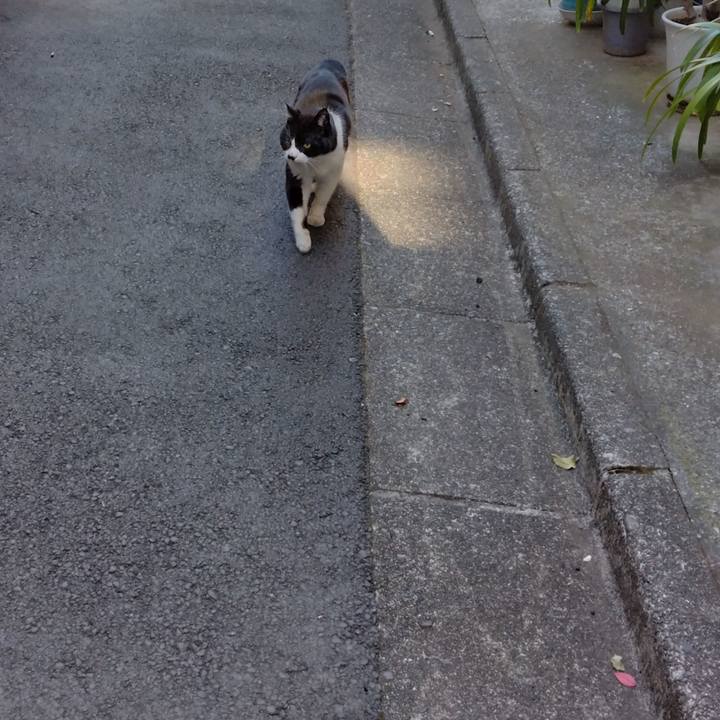 Bf483914 7fb2 4ca8 94cb f6611c753607 1707798985309