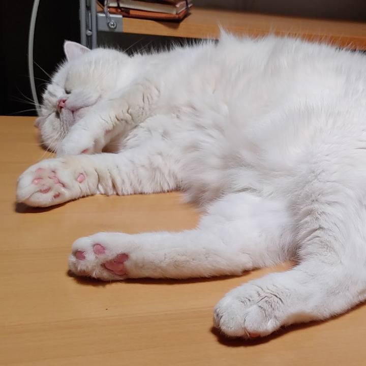 Bf4857ae 5c09 496d 8fec 11f150952132 1661589799019