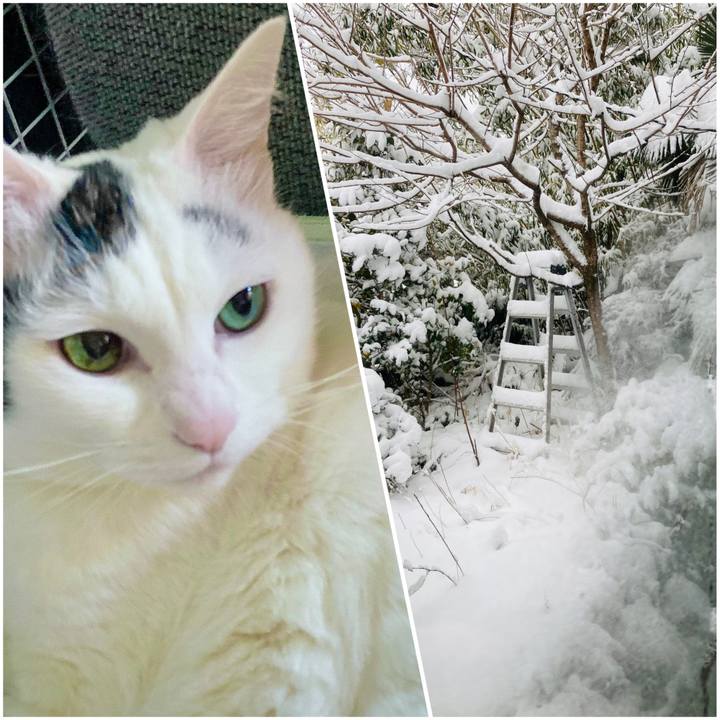 Bf486948 3c01 452f 8445 397b7394ff2e 1708575434620