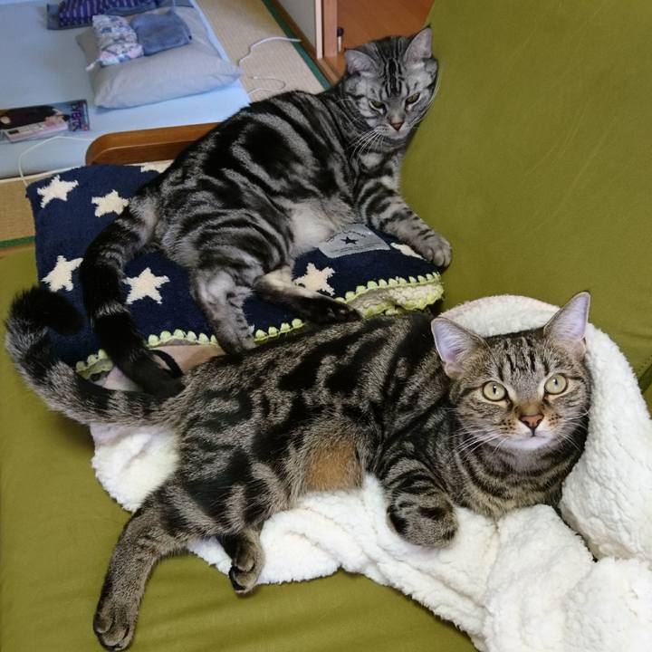 Bf48738b a634 433f aeaf 6a648c5ebe5f 1512527446692