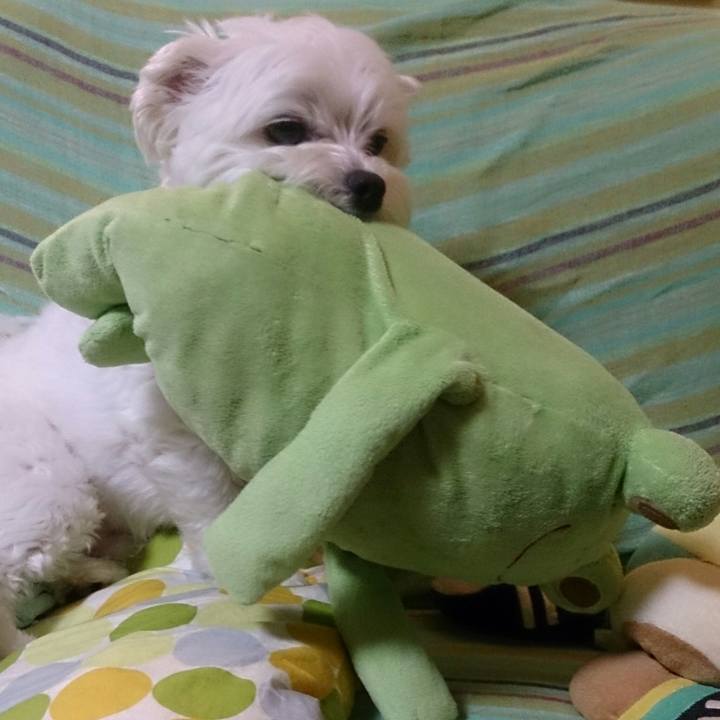 Bf48a5ec b317 41e2 b0fc 2bd61c29664a 1524563834976