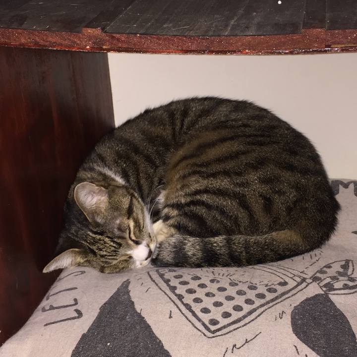 Bf48bba7 a520 48dc 88d4 bf4aedcaf5b2 1574129386258