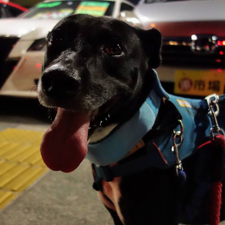 Bf48e807 92b4 4beb 9540 c8b46b257a24 1627210709394