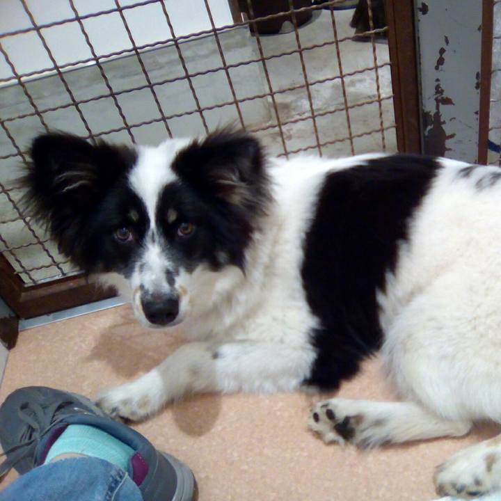 Bf48fb97 e947 4a07 b9e2 3ad5f6ddb159 1525236229358