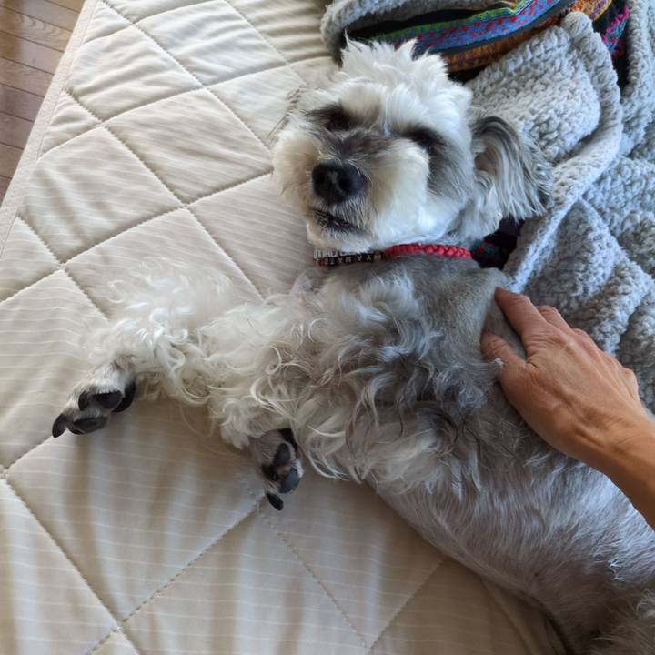 Bf4904fd b517 49fa 966b 0a6ec783de33 1756418539444