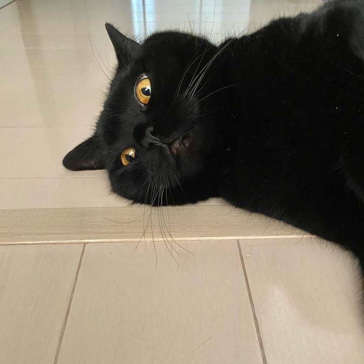 Bf49226b abda 4fb6 af0e 5759223f384f 1686379519469