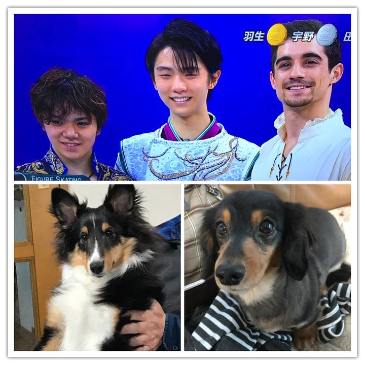 Bf494295 0f2c 4bc4 ae93 6c7014621a62 1518845454519