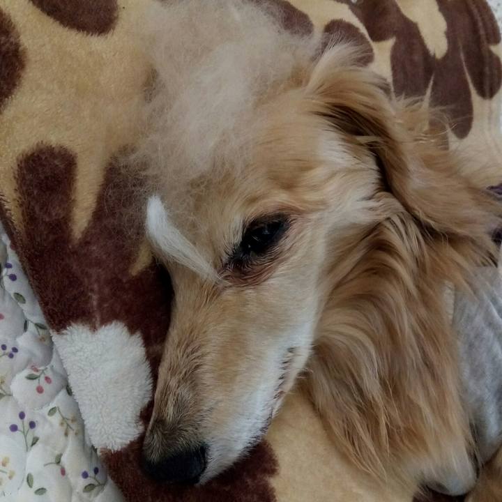 Bf49681f 915c 43bf b995 1f13179d53d1 1560242447060