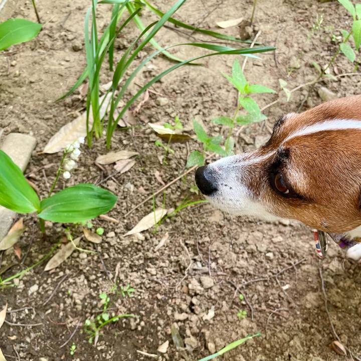 Bf49f484 bb47 4527 ad29 f0a47d23981e 1747205856859