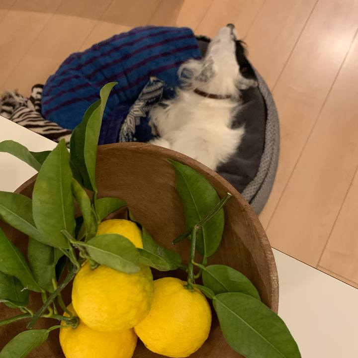 Bf49f622 2ea5 4706 be60 06ca7710e768 1700650344115