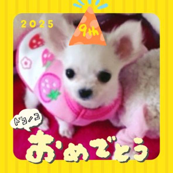 Bf4a10bd 135c 4219 866d 52a3ed5a9366 1749193626540