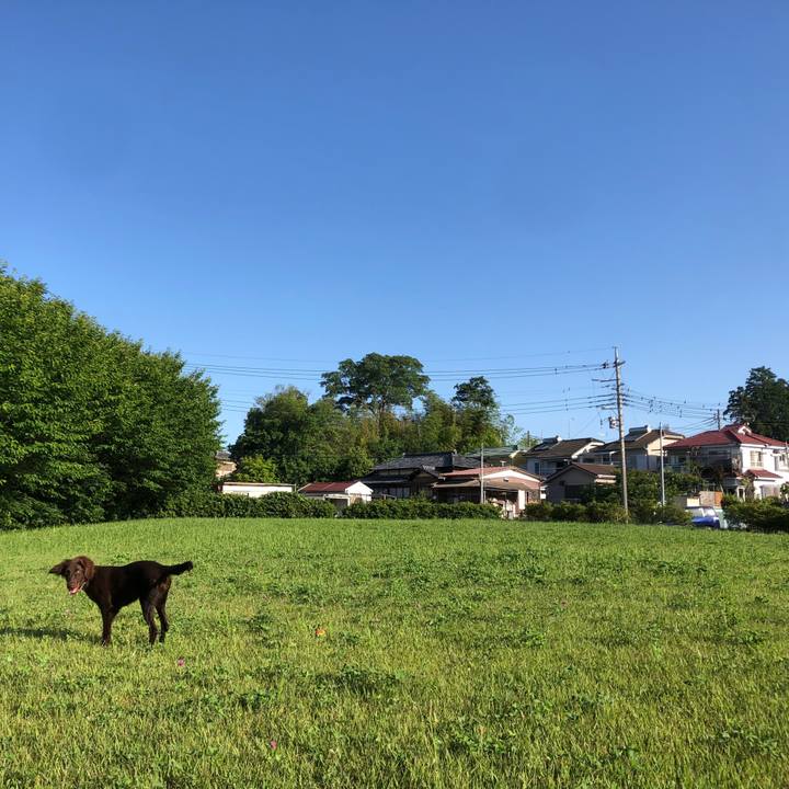 Bf4a4f69 bfd8 48ce befc 25a349363608 1559166821688