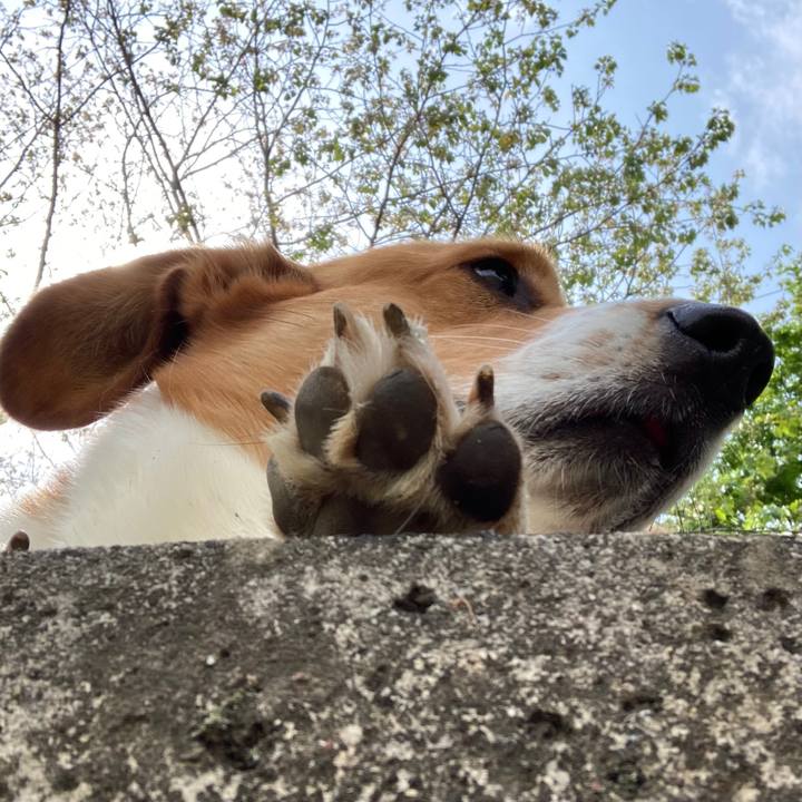 Bf4a5e7a 87ce 4a6c a323 d71cfb322a5f 1681917980963