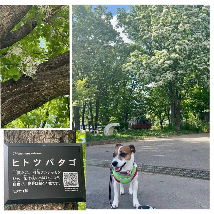 Bf4a6e2e 4f56 4b7d 8bd5 c3bee57ed69c 1747034230427