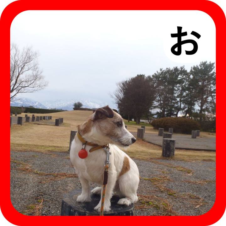 Bf4a72cd 6751 461e aa54 35a75a400827 1514867512065