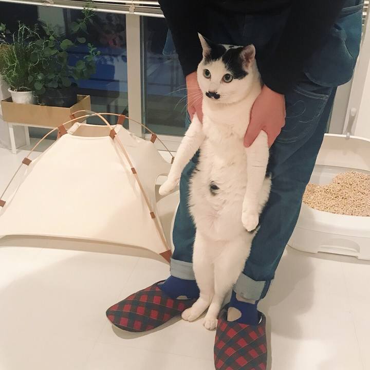 Bf4a7e89 8f43 434c 97a9 f145aa711e57 1521956355934