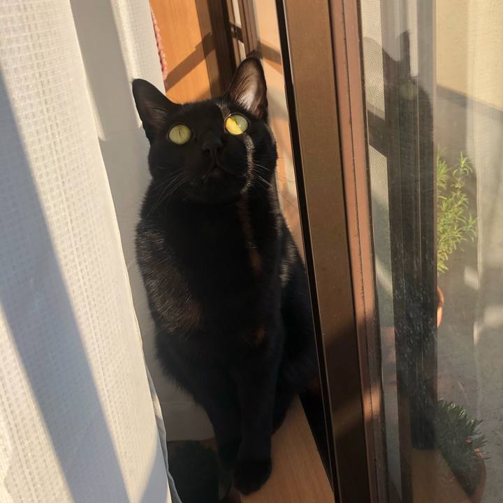 Bf4ad4da 321b 44cf ad41 55920c36abfc 1586072205502