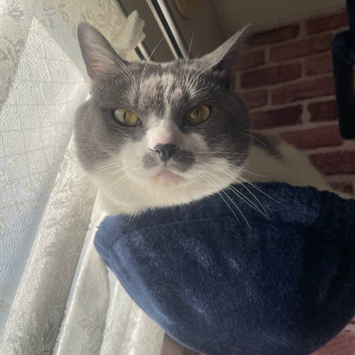 Bf4adfdc 223e 4edb af80 8968f9bdcb34 1733700964597