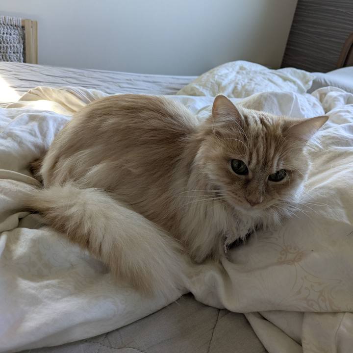 Bf4b47fc 1a4e 4963 9083 937ab694118b 1748413527372