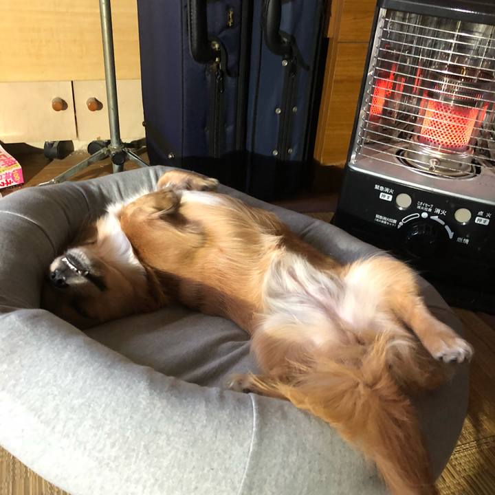 Bf4bbc56 926e 4fe0 bef1 d2dac1659629 1511679588833