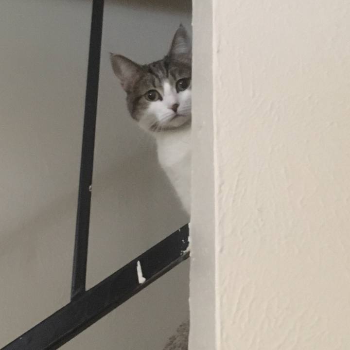 Bf4bbc6c 9129 4f70 a050 e929599aae81 1645303539168