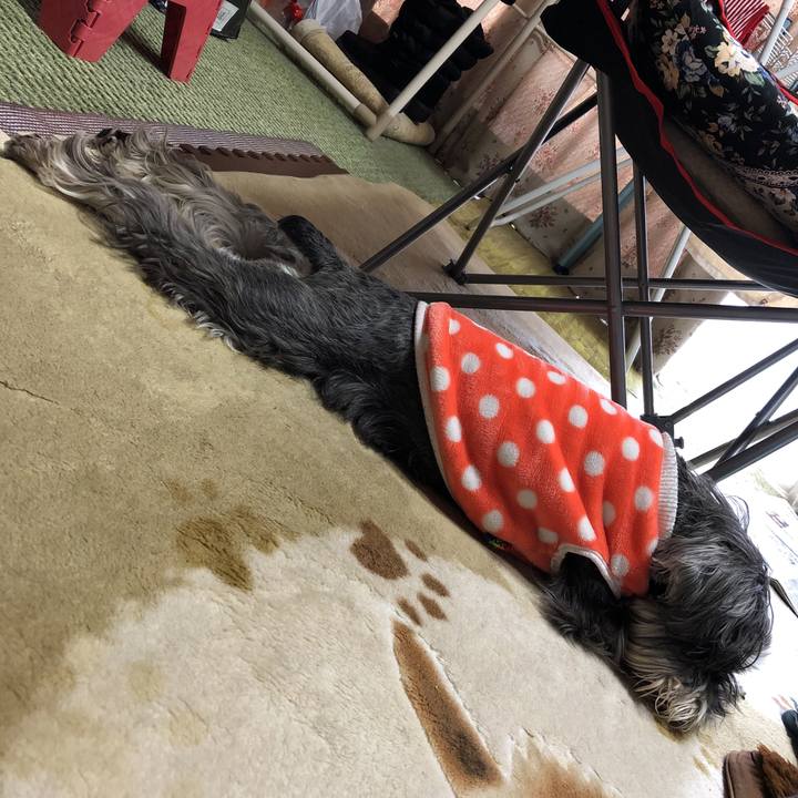 Bf4be7cd a4ba 48fe 8776 ad6c036bdfb5 1555227464569