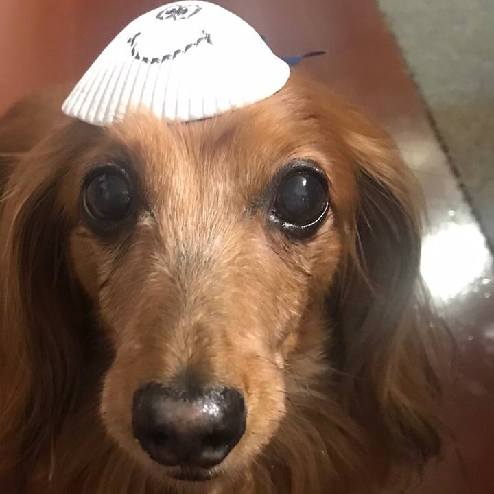 Bf4c3ab3 9cc0 48a1 90ed 30bcb0fa41d7 1580224928385