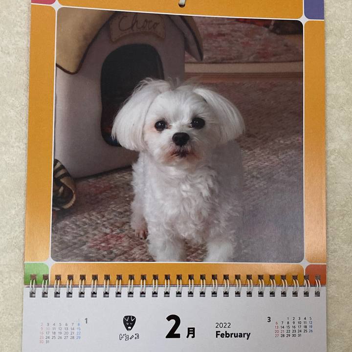 Bf4cb7d4 7c58 4721 a0bb c12ec715c777 1643768906875