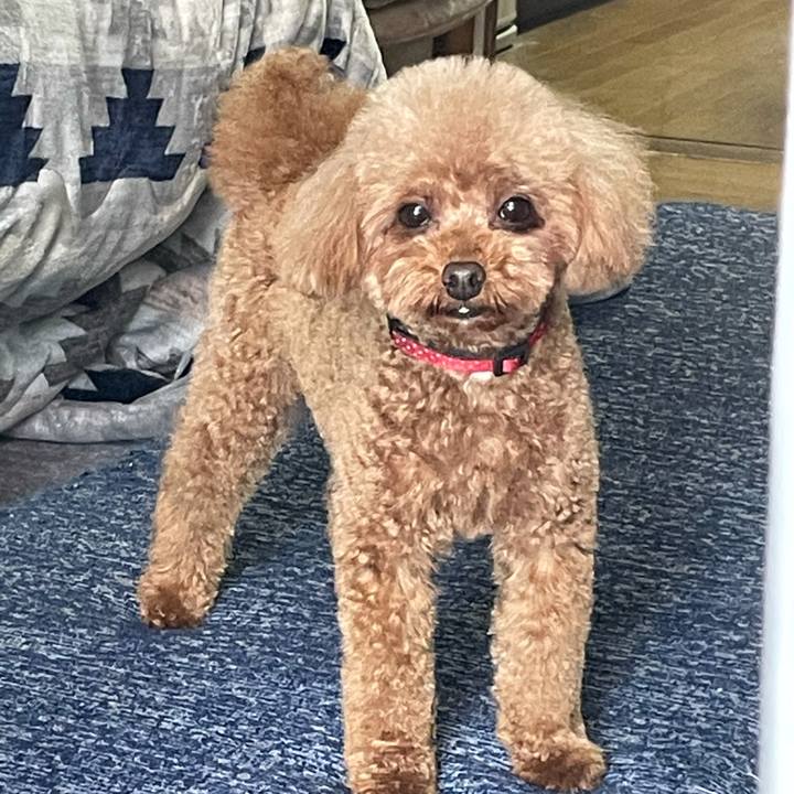 Bf4cc3af 7e51 4e86 adc0 2c36d67cce8c 1619244326020