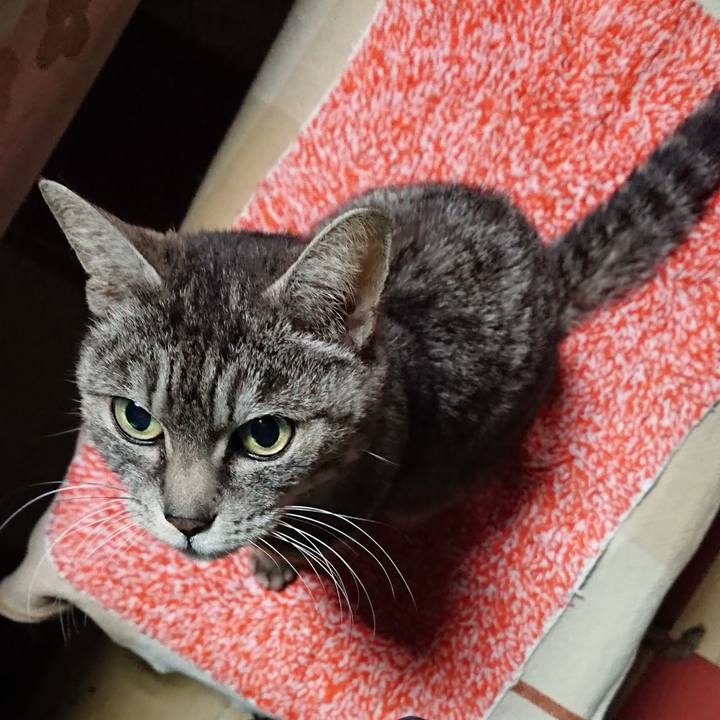 Bf4cc730 be48 4be1 b999 236381ce2f38 1551932129495