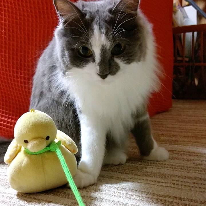 Bf4cc756 0e32 4e50 9951 05eb08cc7a80 1596279762990